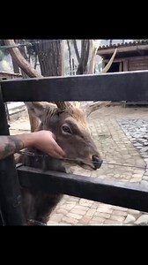 relatable! 😂d #Relationship #relationshipmeme #boyfriend #girlfriend #meme | FC Clips