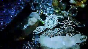 Alien Crystal Palace (Bande d'Annonce)