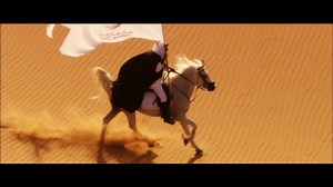 Zayed University | The Journey