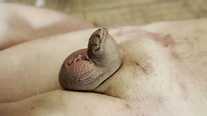 Sadistic Femdom CBT - Stapling Cock & Balls with Mistress Zeida