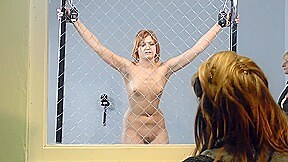 The Milgram Experiment - 2