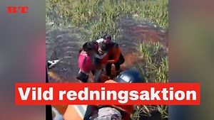 36 timer omgivet af alligatorer | Video