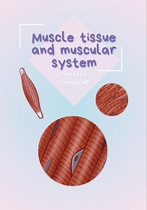 Muscle Tissue and Muscular System Anatomy Disease Bundle Study Guide for Medical Nursing School Students Panacea Md - Etsy Canada