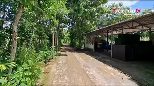 Setidaknya buah jatuh gak jauh dari pohonya.. Ferlina Ghany #electronika #garudatv #anakanak #anakunik #anakkreatif | Andri Semprul