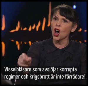 532K views · 2.2K shares | Engelsk baron försöker härska under Skavlans intervju med Birgitta Jónsdóttir men blir tillplattad. Dela!!! | Jörgen Astonson | Facebook