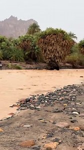 Au cœur de Tibesti | TOUBOU DU MONDE