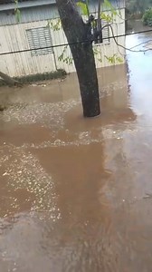 98K views · 1K reactions | · Radio Web Região Oeste Santa Maria...