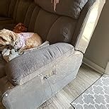 Anti Cat Scratch Furniture Protector, 15-Pack Couch Protector from Cat Claws – Heavy-Duty and Easy-to-Apply Scratch Deterrent and Shield for Sofa Corners, Couch, and Doors – Includes 50 Twist Pins