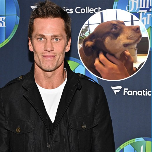 Tom Brady Reveals His Dog Junie Is a Clone of His Late Dog Lua
