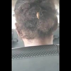 56K views · 91 reactions | Wild Infested Roach Crawling In A Womans Hair While On A Bus! | Dats Wats Up | Facebook