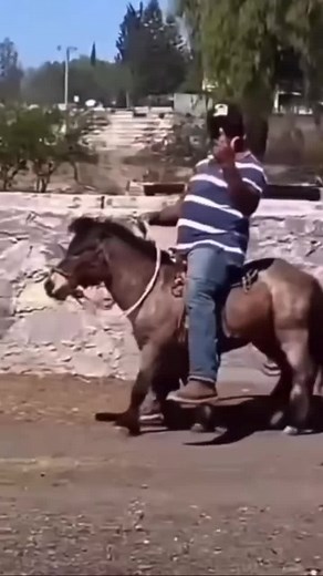 RaptorWorld on TikTok