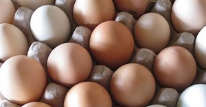 Cuáles son las diferencias entre los huevos marrones y blancos y cuál conviene comprar