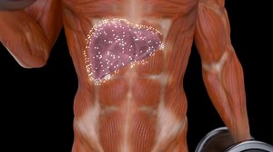 3D abstract medical animation of the liver