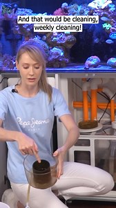 Before: surely it's not gonna be that gross. After: oh it's pretty gross like... 🤣 . . #maxspect #maxspectgyre #maxspectrazor #maxspectjump #coralreef #allmymoneygoestocoral #reeftank #saltwateraquarium #saltwatertank #reefaquarium #aquariumhobby #coralreeftank #reefpack #reeflife #eatsleepreef #reefaddict #marineaquarium #reef2reef #corals #reeftansofinstagram #reefers4reefers #wavemakers | Maxspect