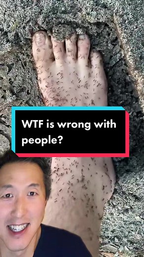 Giant Ant Colony Filled with Cement - Shocking Reaction!