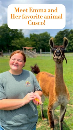 10K views · 186 reactions | Meet Emma and her favorite animal Cusco! #llama #alpaca #zoo #farm | Ocoee Riverside Farm | Facebook