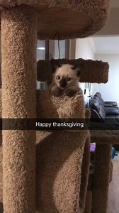 2.4K views · 325 reactions | Crab for dinner | JobbytheHong | Facebook