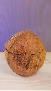 6.5K views · 18 reactions | DIY coconut table lamp with cozy glow 便 | Transformazing | Facebook