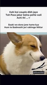 Couple #memes #popular #viral #funnymemes #tweetreels #couple #badmoshi