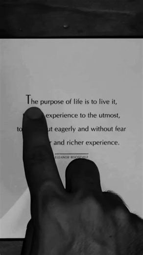 Zen Quotes on TikTok