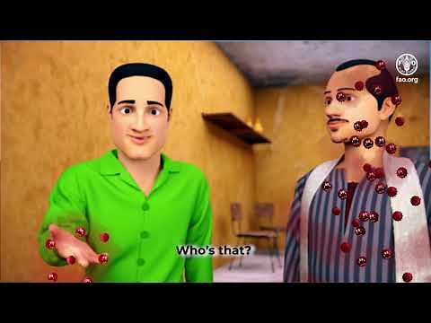 Safe poultry rearing at Poultry farm sector