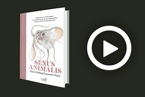 Watch: The secret sex lives of animals image