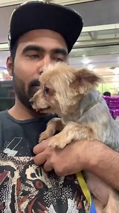 45K views · 3.4K reactions | @dollarzone_official ka nya dost  | Gauravzone | Facebook