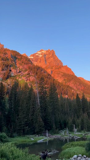 The Wort Hotel on Reels