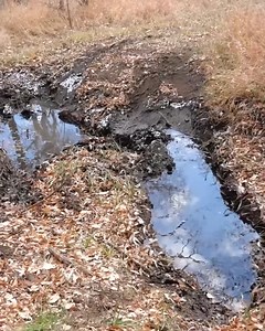 Worrying Moments! How Will Our Bronco Handle This Turn? | TFL Studios