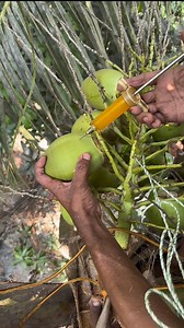 1.6M views · 3.8K reactions | Dab ka injuction deta hu | Daily Fishing Life | Facebook