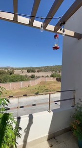 59K views · 1.3K reactions | comer sano es comer delicioso #bajardepeso #vblog #recetassaludables #comidasaludable | Sraandrea | Facebook