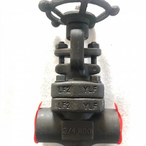 [Hot Item] API 602 Forged Steel Small Size High Pressure Gate Valve