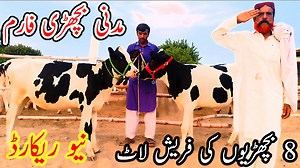 6K views · 678 reactions | Madani bachadi farm || Australian Friesian Jersey Bachria|| Fresh Rate Update||26July 2023||Pk Janwar TV||#dairycow #HFCOW #bigcow #cowforsale #cow #janwarmandi #pashumandi #Cowbaby #CowBabies #CowBabyPrice #Bachrian #Wachian #Calf #Heifers | Pk Janwar TV | Facebook