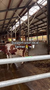 Support Your Local Farmer for Fresh Milk
