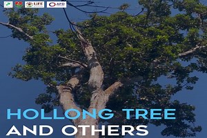 Immerse yourself in the enchanting beauty of Dehing Patkai rainforests, Assam, as we celebrate World Rainforest Day. Join us in preserving these precious ecosystems and protecting life. #WorldRainforestDay #DehingPatkai #ConservationMatters World Rainforest Day AFD - Agence Française de Développement AFD - Agence Française de Développement United Nations Biodiversity Chandra Mohan Patowary Environment & Forest Department, Government of Assam | APFBC-Communicating Conservation