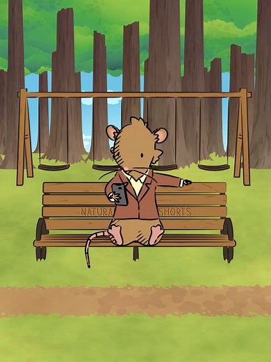 Discover Why Shrews Are Venomous Creatures