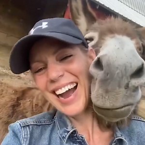 And they called it donkey love ❤️ Check out more trending stories on ITK: https://bit.ly/39pSMAR | In The Know