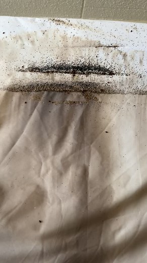 A bed bug infestation! #fyp #infestation #exterminator #bedbugs #pestproblem #nasty