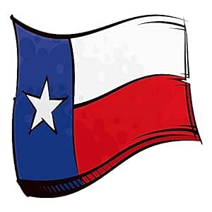 6 sheets Temporary Tattoos American Flag Texas Flag Waving In Wind for Men Temporary tattoo for Women Neck Arm Chest