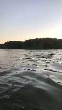 Checkmate Convincor and Warlock