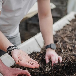 Well, we had to share this on #TambuziTuesday, last week our Business Unit Manager Brent Kaandorp visited Tambuzi Garden Roses for his annual visit to catch up with the team, he has built a strong connection with, chose new and exciting varieties and discuss plans for 2026. He was joined by Bart and the team from Bresser Bloemen and it was an exceptional trip! Thank you Tambuzi - you were fantastic hosts and the roses are looking incredible and Bart and team, it was such fun! Before we go we hav