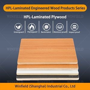 [Hot Item] High Pressure Laminate High Strength and Stability HPL Laminated Plywood for Wall Panel