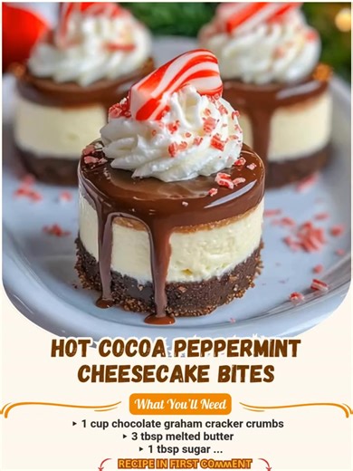 Hot Cocoa Peppermint Cheesecake Bites  A rich chocolate crust, silky cheesecake center, and glossy ganache topping—finished with whipped cream and a candy cane crunch! 蓼 Ingredients: For the crust: ▸ 1 cup chocolate graham cracker crumbs ▸ 3 tbsp melted butter ▸ 1 tbsp sugar... | Yummy Dishes | Facebook