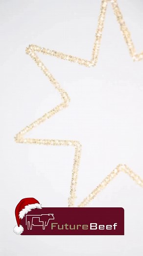 #merrychristmas #futurebeef #festiveseason #beefcattle | FutureBeef