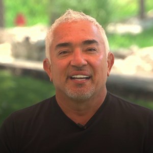 Sit. Stay. Stream full episodes of National Geographic’s Cesar Millan: #BetterHumanBetterDog in our all-new Cesar Millan Unlocked channel 🐶 Watch free anytime, anywhere, with no sign-in needed, exclusively on ABC.com and the ABC apps. Check it out at: https://on.natgeo.com/CMFBF713 (*U.S only) | National Geographic TV