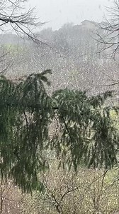 12K views · 74 reactions | Banja Luka jutros pod bijelim pokrivačem | Vijesti.com | Facebook