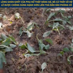 961 Fai Sin Chua 1 #reviewphim | Magnum Gammarth