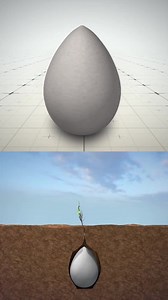 Did you know that some ecological burial pods can nourish native...