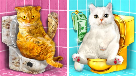 Pet rescue hospital! Extreme pet hacks | La La Life