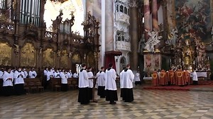 Here is how serving at the Latin Mass led Fr Wallace to his vocation. | FSSP Parramatta Latin Mass Chaplaincy